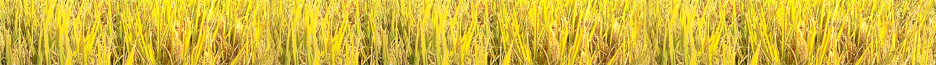 資質(zhì)認(rèn)證